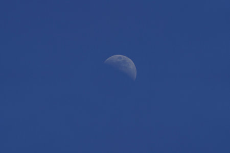 A visible half moon in the daytime sky, captured during its waxing phase against a clear blue background.の写真素材