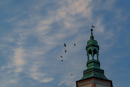 Historic tower silhouette with flying birds against a soft evening sky.