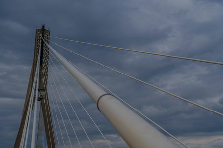 Symmetrical cable-stayed bridge pylon and radiating lines create dynamic urban geometry.