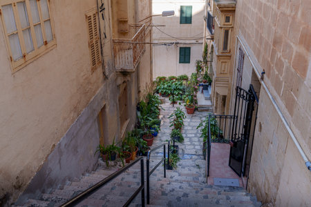 View down a narrow stair street reveals dense pots of plants and a small terrace framed by warm stone facades.の写真素材