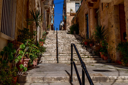 Wide steps climb between warm limestone facades lined with succulents and palms, leading toward a slice of blue sky.の写真素材
