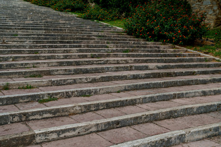 Weathered stone stairway bordered by bushes and moss, slightly overgrown, Tuscany outdoor detail.
