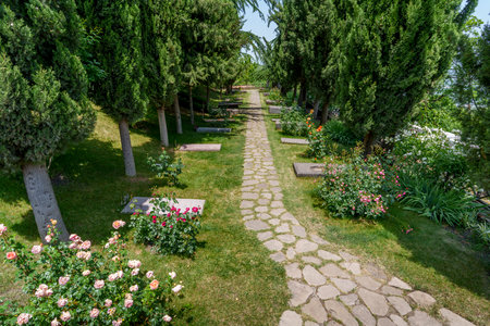 Straight stone walkway through peaceful garden bordered by rose bushes and tall evergreen treesの写真素材
