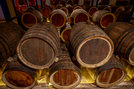 Dozens of old wooden wine barrels rest on supports in a warmly lit storage roomの写真素材
