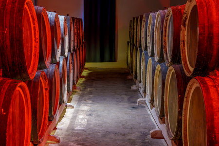 Old wooden wine barrels line a narrow cellar passage lit by dramatic colored lightsの写真素材