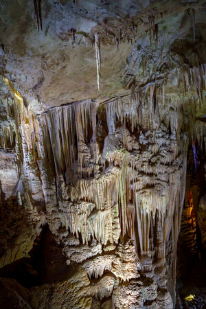 Delicate stalactite draperies cascade down cave wall, illuminated to reveal intricate textures and layered formationsの写真素材