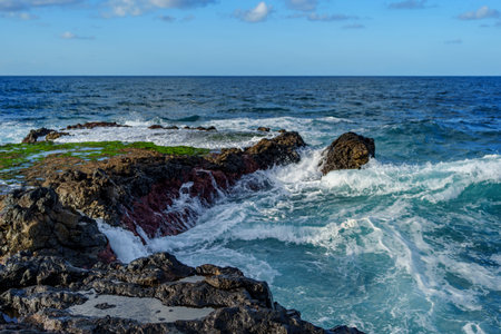 Ocean surf breaks against dark rocks, churning bright foam under a clear sky.
