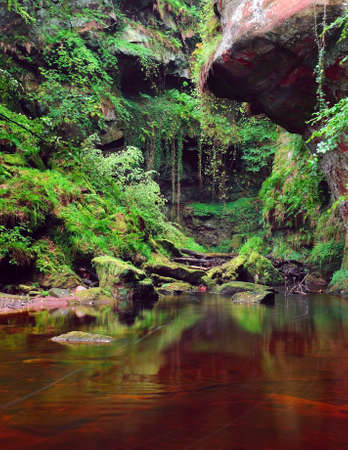A red river in a gorge with green vegetationの写真素材
