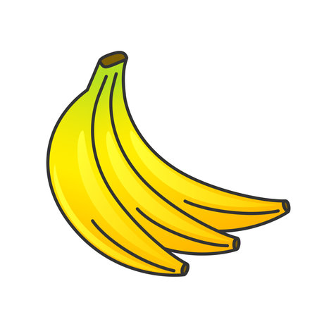 Bunch of three bananas outline illustrationのイラスト素材