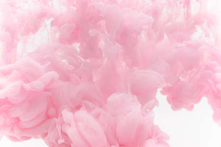 pink smoke on a white backgroundの写真素材
