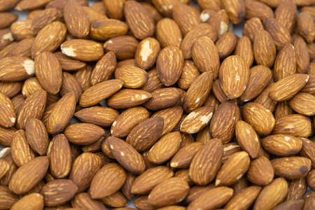 many almonds backgroundの写真素材