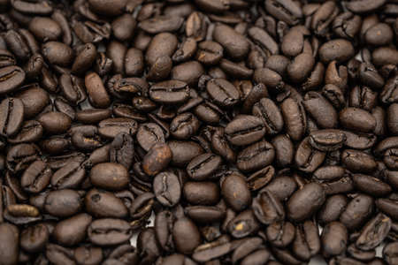 many coffee beans backgroundの写真素材