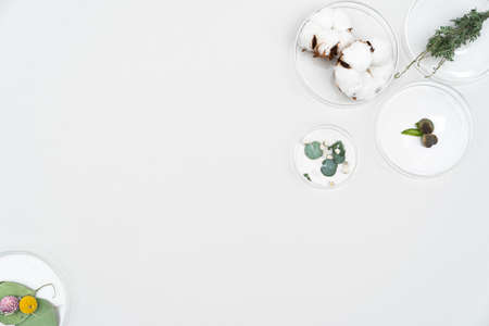 white background made of flowers and plantsの写真素材
