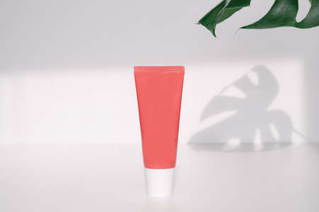 cosmetic container for mockup