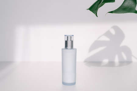 cosmetic container for mockupの写真素材