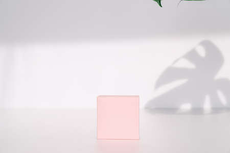 pink boxの写真素材