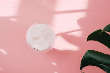 A glass with ice cubes on a pink background with palm leaves.