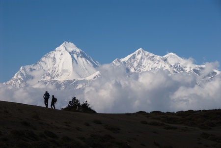 Dhaulagiri and Nilgiri as seen from a pass of Dhangladandaの写真素材