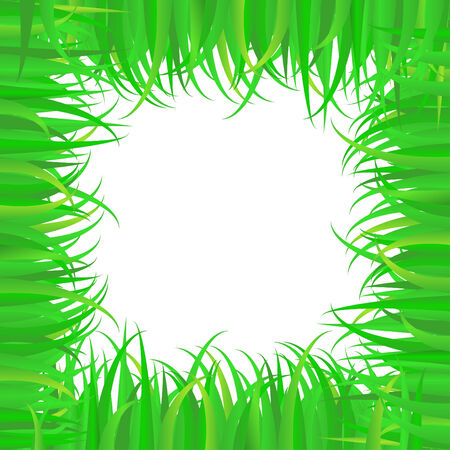 spring frame of green grass with white copy spaceのイラスト素材