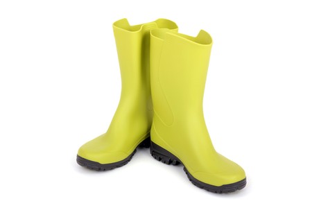 green new wellington on whiteの写真素材