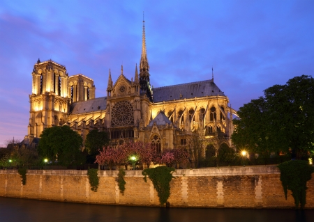 Notre Dame, Paris at night の写真素材