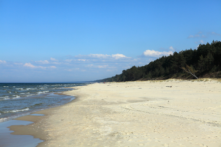 Coast of Baltic sea in sunny summer dayの写真素材