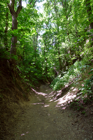 Queen Jadwiga's gorge in Sandomierz, Polandの写真素材