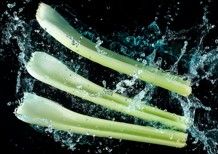 Celery Water Splash on black backgroundの写真素材
