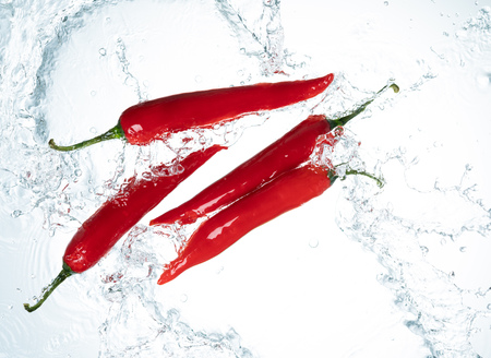 Red Chili Peppers Water Splash on White Backgroundの写真素材