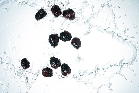Blackberries Water Splash on white backgroundの写真素材
