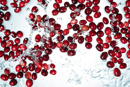 Cranberries Water Splash on White Backgroundの写真素材