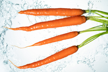 Bunch of orange carrots water splash on white backgroundの写真素材