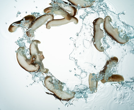Mushrooms Water Splash on white backgroundの写真素材