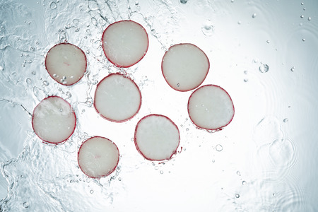 Freeze Motion Radish Water Splash on White Backgroundの写真素材
