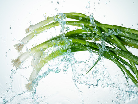 Leeks Water Splash on white backgroundの写真素材