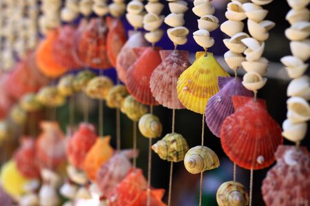 Shellの写真素材