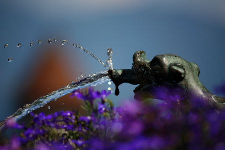 Detail of little splashing spout looks like animal with purple flowers in the foregroundの写真素材