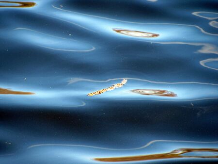 disturbed waterの写真素材