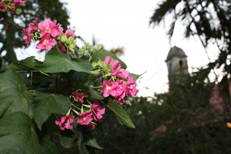 monasteryの写真素材