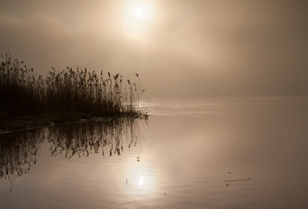 Poland.Foggy dawn on the Bug river in late summer.Very dense fog with the Sunの写真素材
