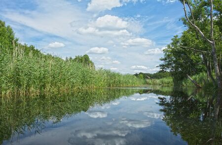 Poland in summer.Pomerania.Brda river.Wild and unregulated river flowing picturesquely among the fields, meadows and forests.Horizontal view.In the water beautifully bounce off cloudsの写真素材