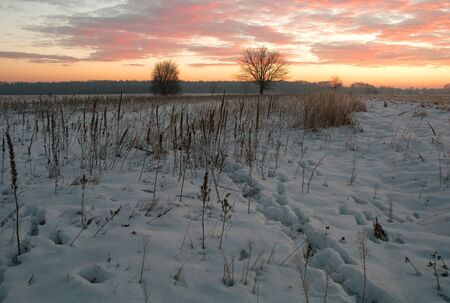 Poland.Grudzie.Snow-covered meadow near the Narew river.Horizontal view.の写真素材