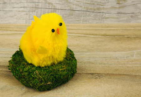Easter figurines, yellow chicken in a nest with green moss on the background of the old wooden...