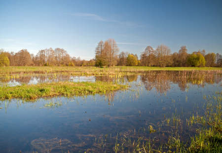 Poland, a beautiful landscape with spring backwaters in the meadows, April .Horizontal view.の写真素材