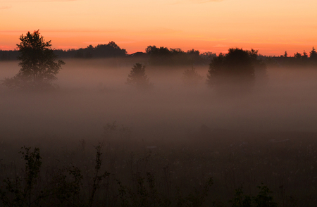 The rising sun illuminates the morning fog hanging over the meadow, in the distance you can see the outlines of the houses. Beautiful, interesting and mysterious landscape, illustration .Poland in May. Horizontal viewの写真素材
