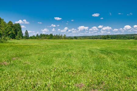 Beautiful landscape of green meadows at the lake under a blue sky with white clouds
Poland in the summer. Horizontal viewの写真素材
