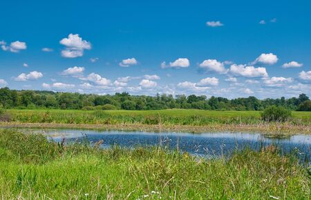 Bug river bed among green meadows in summer under a blue sky with white clouds. Poland in summer.Horizontal view.の写真素材
