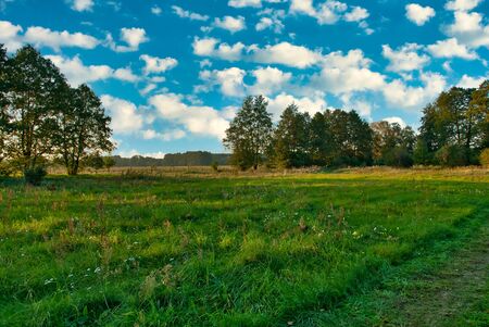 Road among meadows and clumps of trees, in summer under a blue sky with white clouds. Poland in summer. Horizontal view.の写真素材