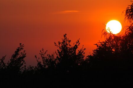 Sunsetの写真素材