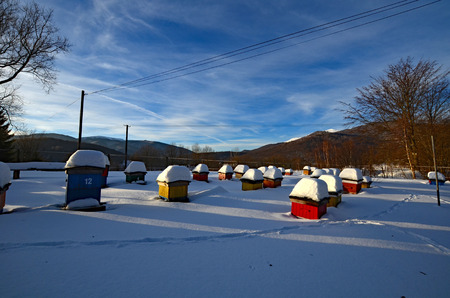 Bieszczady mountains, Polish part of Carpathiansの写真素材
